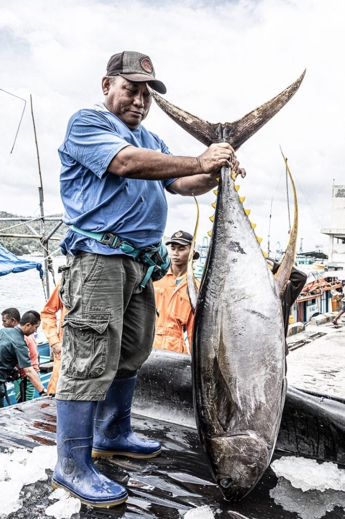 Ikan Tuna Segar di PPS Bitung