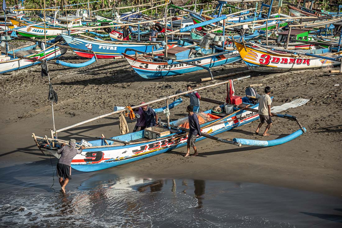 Aktivitas Pendaratan Ikan di PPI Cisolok Jawa Barat