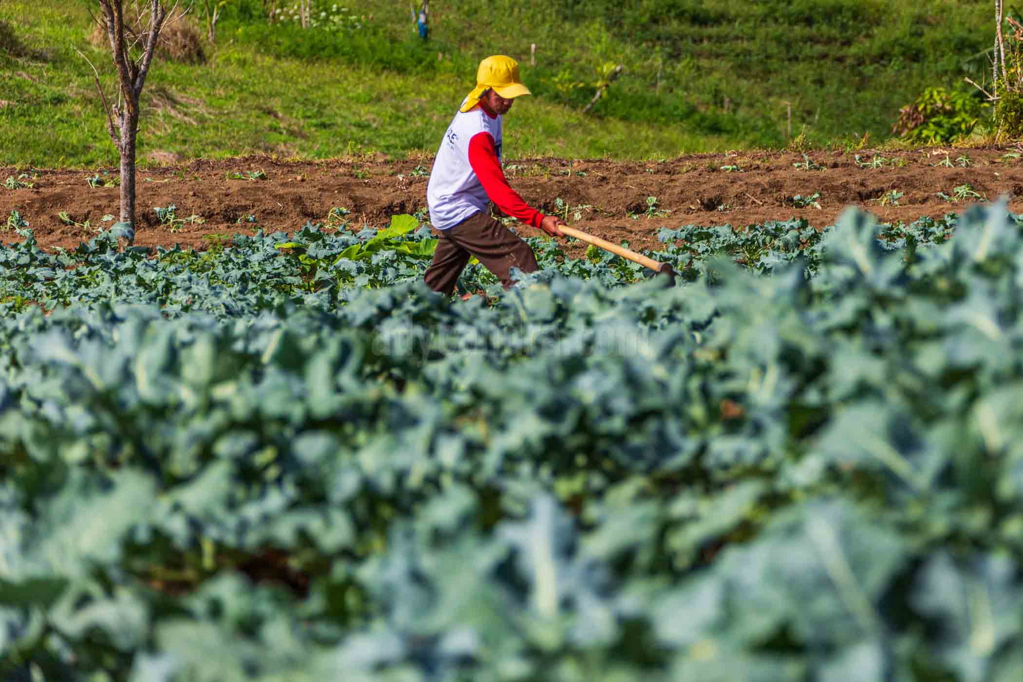 Instagram Working on Farmland Instagram Working on Farmland