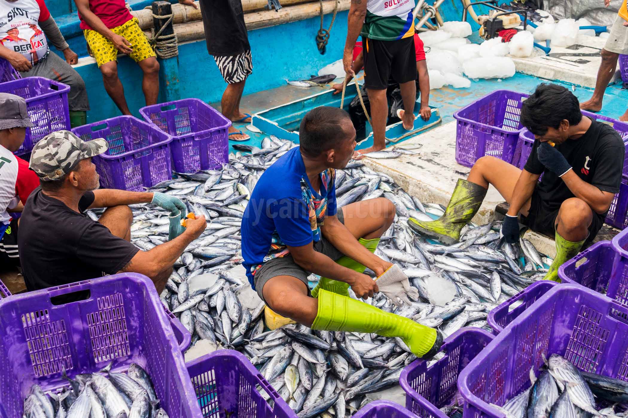 Fishing Sortir in Tumumpa Fishing Sortir in Tumumpa